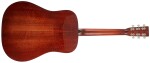 Eastman E6D-TC