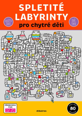 Spletité labyrinty pro chytré děti - kolektiv autorů