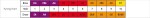 Hohner Golden Melody Progressive D-major