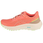 Asics GT-1000 13 TR W 1012B828-700 dámské běžecké boty 39