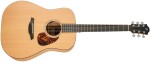 Furch Blue D-CM L.R. Baggs EAS-VTC CNR Active