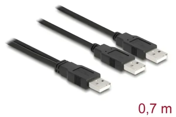 DeLock USB 2.0 Typ-A 2x Typ-A / Kabel / 0,7 m / USB 2.0 (80000)