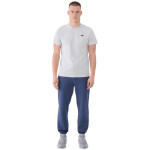 Kalhoty 4F Cas M1139 M 4FWMM00TTROM1139 32S XL