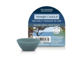 Yynke Candle Bayside Cedar vonný vosk do aromalampy 22 g