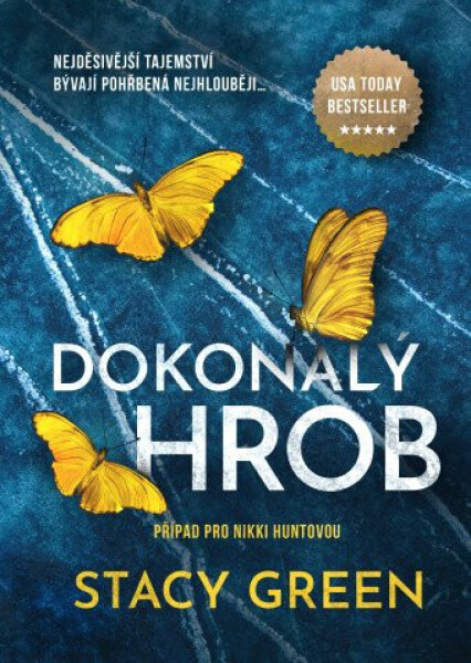 Dokonalý hrob (poškozená) - Stacy Green