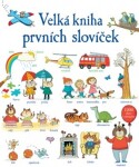 Velká kniha prvních slovíček Mairi Mackinnon