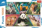 Trefl Puzzle Animal Planet: Království zvířat/1000 dílků