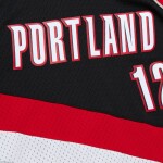 Mitchell & Ness Pánský dres Portland Trail Blazers NBA Lamarcus Aldridge #12 2006-07 Swingman Velikost: S