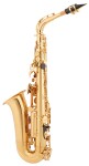 Yamaha YAS-PLU1II