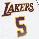 Mitchell & Ness Pánský dres Los Angeles Lakers NBA Robert Horry #5 2002-03 Swingman Velikost: M