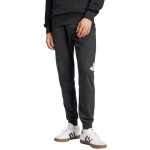 Kalhoty adidas Essentials Big Logo French Terry M IN6163 XL