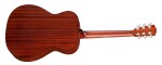 Eastman PCH1-OM-CLA
