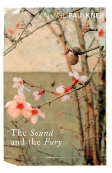 The Sound and The Fury William Faulkner