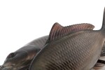 Fox Rage Gumová nástraha Ultra-Realistic Common Carp Replicant,Fox Rage Gumová nástraha Ultra-Realistic Common Carp Replicant