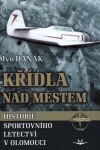 Křídla nad městem