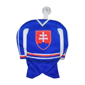 SPORTTEAM Minidres HOKEJ SR 2 (4891223095487)