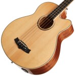 Tanglewood TW 7-AB CE NA