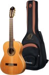 Ortega R20GRG-L