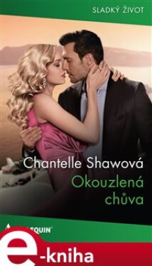 Okouzlená chůva - Chantelle Shawová e-kniha