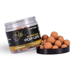 Nash Pop-Up Scopex Squid Natural 75g 20mm (B6322)