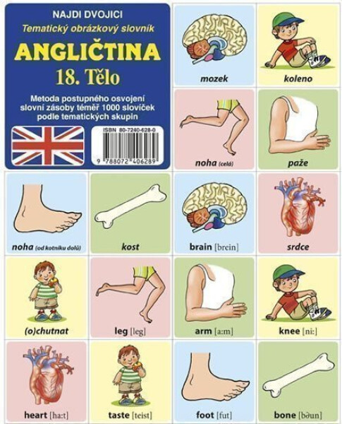 Najdi dvojici Angličtina 18. Tělo