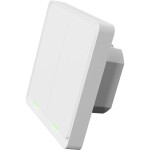 TESLA Smart Switch Dual TSL-SWI-WIFI2