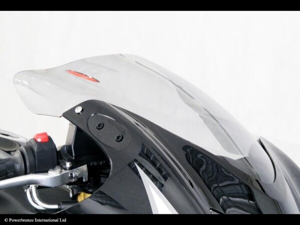 Suzuki Gsx 1300R Hayabusa 08-15 Plexi Standard