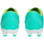 Fotbalové boty Puma Ultra Play FG/AG M 107224 03 42