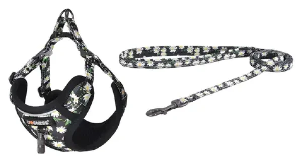 Dogness Venčicí set vodítko a postroj pro psy mix barev / Sada / Nylon, síťovina / Délka vodítka 1,5 m (DOG SET DAISY)
