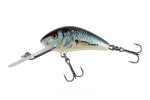 Salmo Wobler Hornet Sinking Real Dace,Salmo Wobler Hornet Sinking Real Dace