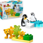 LEGO® DUPLO® 10442 Rodinky divokých zvířat: Tučňáci a lvi - LEGO® DUPLO®