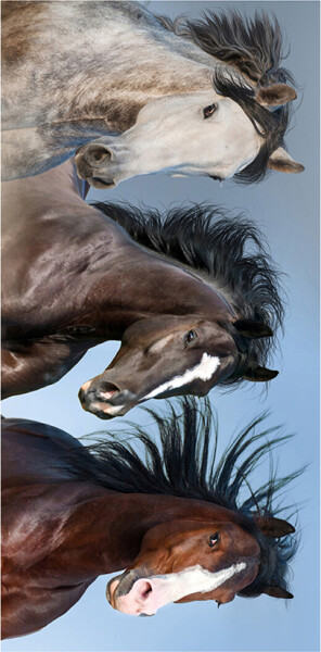 Froté osuška Divocí Koně v Přírodě