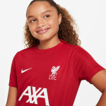 Nike Liverpool FC DF Academy Pro SS Top Jr Shirt FQ2753-688 S (128-137)