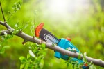 Aku teleskopická vyvětvovací pila Gardena TCS 20/18V P4A sada 14770-20