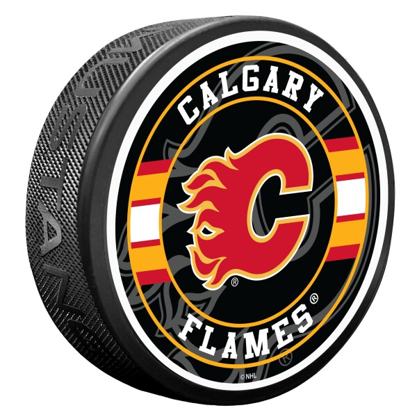 Mustang Puk Calgary Flames NHL Spotlight
