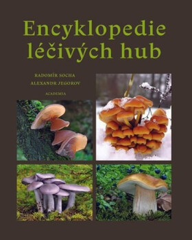 Encyklopedie léčivých hub - Radomír Socha