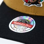 Mitchell & Ness Pánská kšiltovka Vancouver Grizzlies NBA Team Arch Classic Red Stretch-Snap Khaki