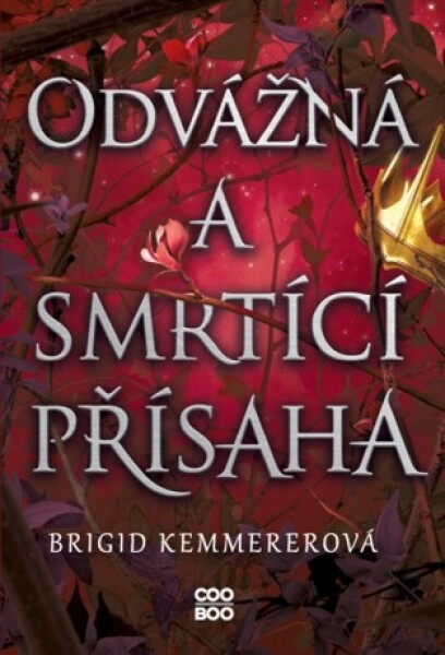 Odvážná a smrtící přísaha - Brigid Kemmererová - e-kniha