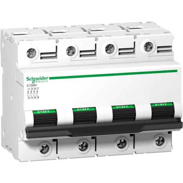 Schneider Electric A9N18480 A9N18480 elektrický jistič 100 A 500 V/DC