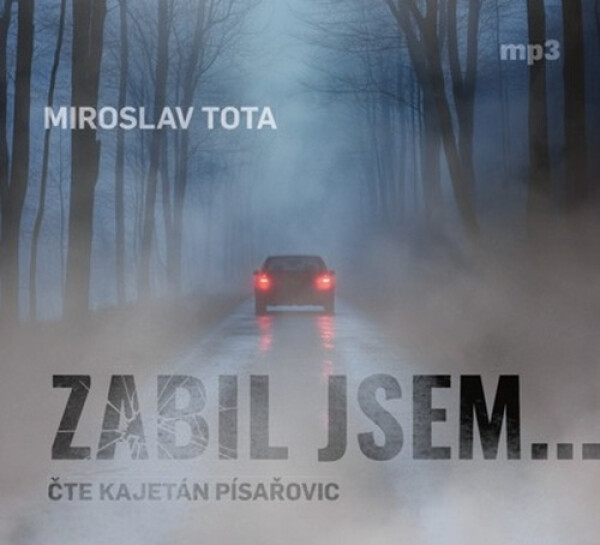 Zabil jsem... - CDmp3 (Čte Kajetán Písařovic) - Miroslav Tota