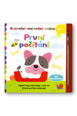 První počítání