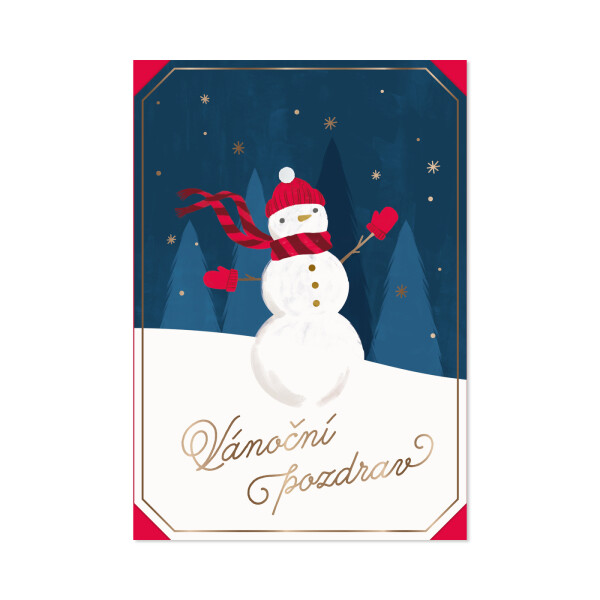 Vánoční přání - Sněhulák s kulichem a šálou - Albi