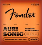 Fender AuriSonic 8060R