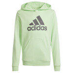 Mikina adidas Big Logo Hoodie Jr IS2591 cm