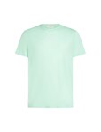 ICEBREAKER M 150 Tech Lite SS Tee Adventure Rid, Mint velikost: L