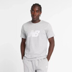 Tričko New Balance S/S Sport Graphic V Flying M MT43906AG pánské S