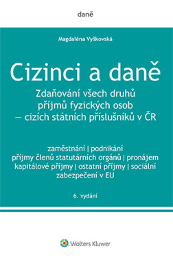 Cizinci a daně - 6. vydání - Magdaléna Vyškovská - e-kniha