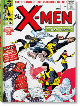 Marvel Comics Library : X-Men. 1963–1966 - Fabian Nicieza