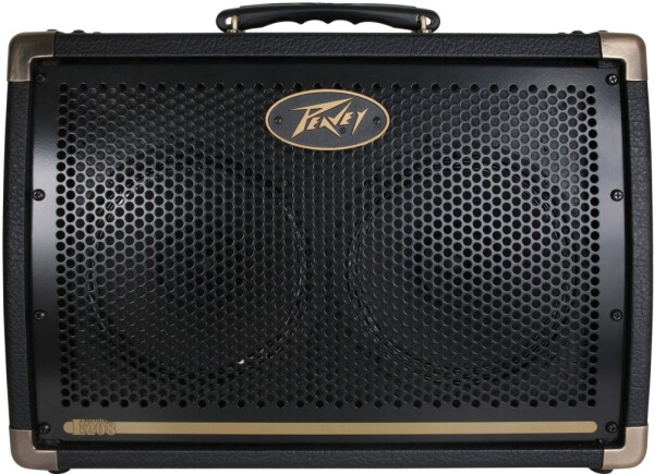 Peavey Ecoustic E208