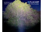 Flacarp Čelovka HL 2000,Flacarp Čelovka HL 2000